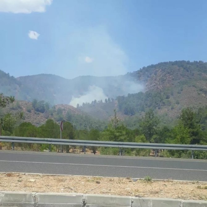 Köyceğiz’de Orman Yangını