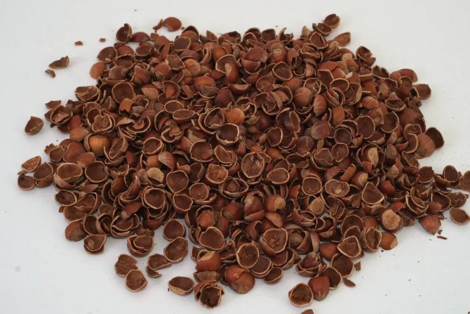 Fındık Kabuğu Değerleniyor