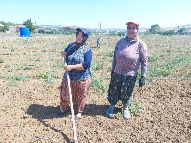 Kent Ekonomisine Büyük Katkı: Tohumdan Ağaca Kadar Her Şeyi Belediye Üretiyor