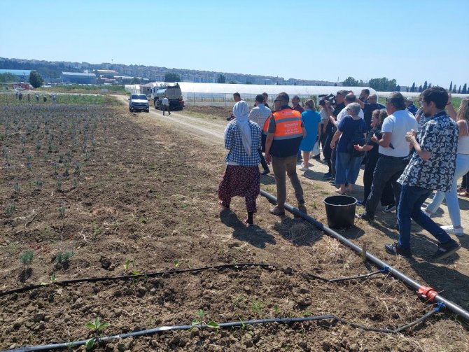 Kent Ekonomisine Büyük Katkı: Tohumdan Ağaca Kadar Her Şeyi Belediye Üretiyor
