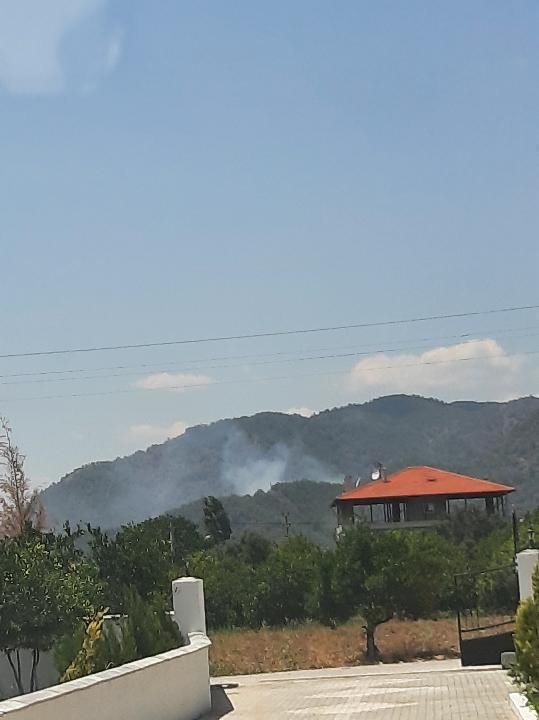 Köyceğiz’de Orman Yangını