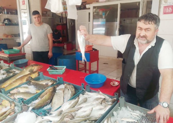 Yaz Sezonu Balıkları Tezgahlarda Yerini Aldı