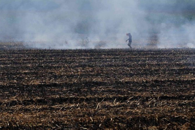Doğan: "Sürdürülebilir Tarım İçin Anız Yakmayın"