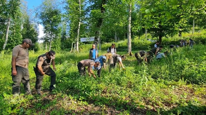 Ormanlarda "Gençlik Bakım" Tatbikatları Yapıldı