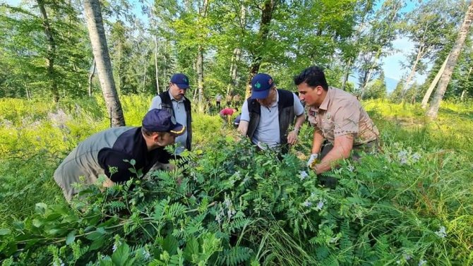 Ormanlarda "Gençlik Bakım" Tatbikatları Yapıldı