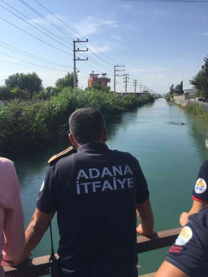 Adana’da Sulama Kanalına Giren Bir Kişi Kayboldu