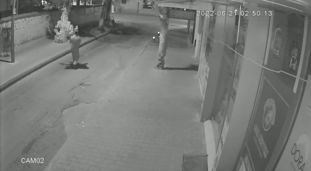 Kaldırımdaki Çiçeği Çaldı