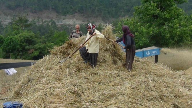 Orakla Biçiyor, Patozla Harman Çekiyorlar
