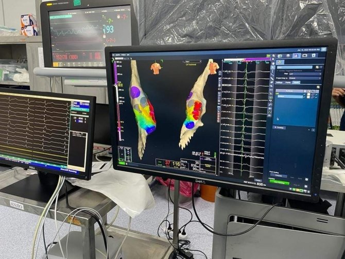 Banü Tıp Fakültesi’nden Bir İlk Daha