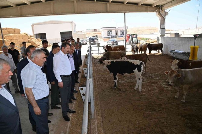 Besi Osb Yatırımcılarına Destek Sağlanacak