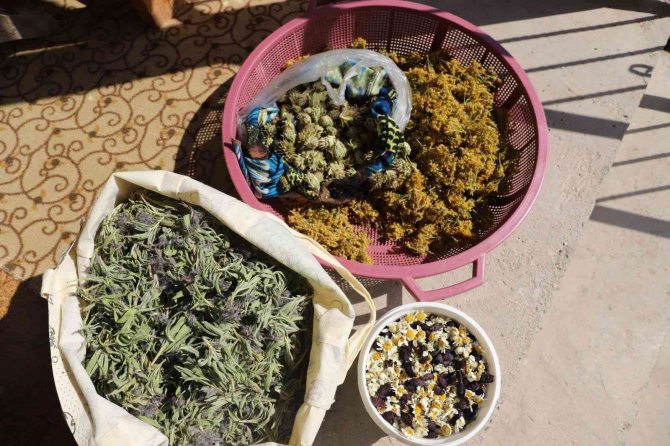 Bingöl’de Biyoçeşitlilik Çalışmaları Sürüyor