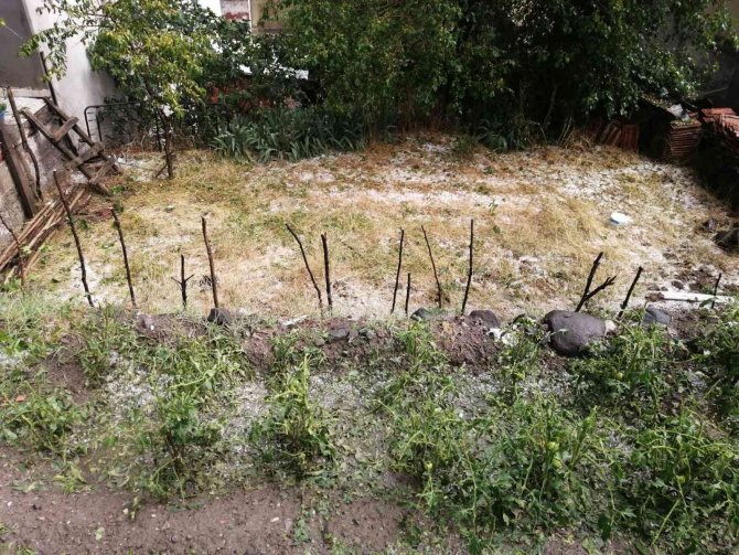 Osmancık’ta Etkili Olan Dolu Yağışı Tarım Arazilerine Zarar Verdi