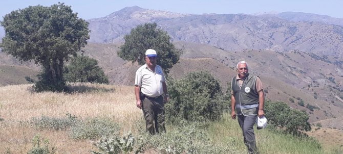 Elazığ’da Kaçak Avcılığın Önlenmesi İçin Denetimler Sürüyor