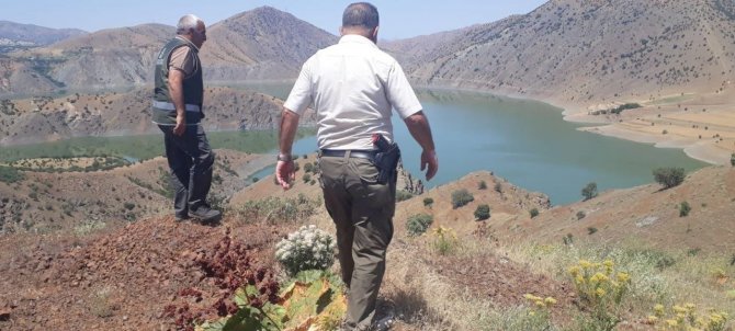 Elazığ’da Kaçak Avcılığın Önlenmesi İçin Denetimler Sürüyor