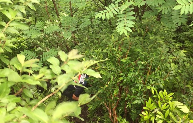 İ̇neği İle Birlikte Uçuruma Yuvarlanan Kadın Hayatını Kaybetti