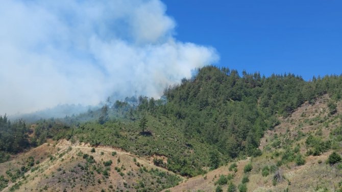 Kahramanmaraş’ta Orman Yangını