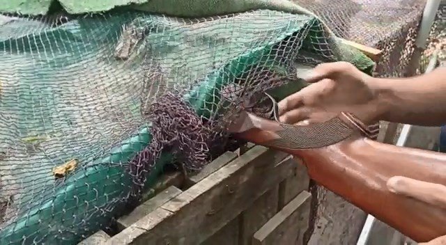 Köylere Dadanan Hırsızlar Jasat’tan Kaçamadı