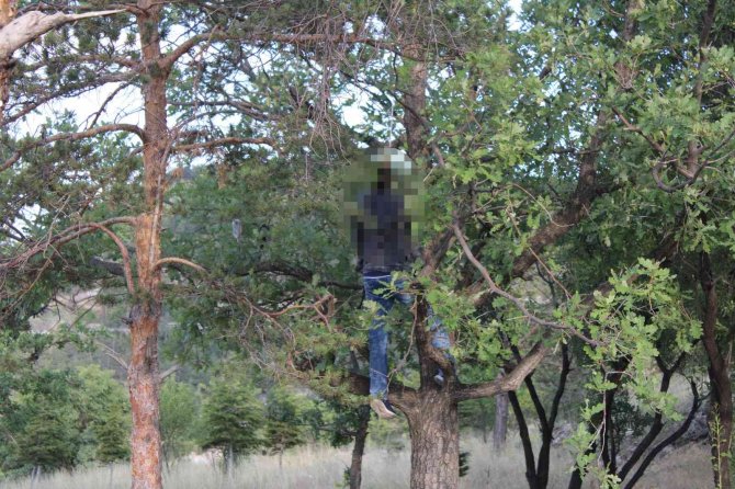 Mesire Alanında Kan Donduran Görüntü