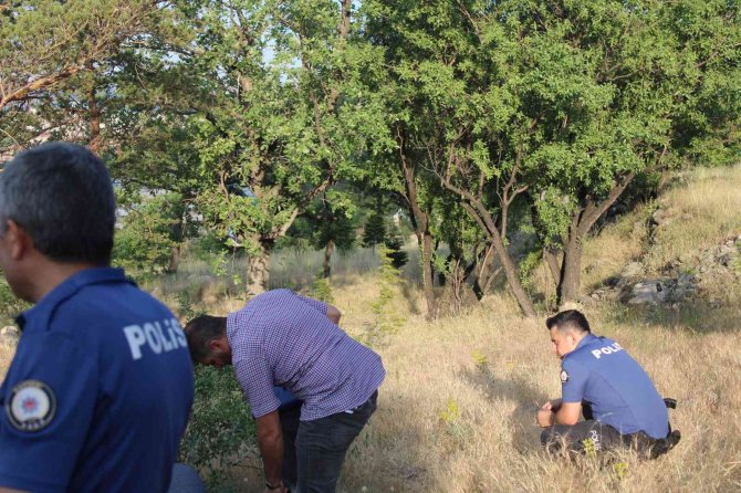 Mesire Alanında Kan Donduran Görüntü