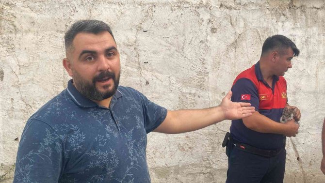 Yaramaz Kedinin Yolculuğu 150 Kilometre Sonra Sona Erdi