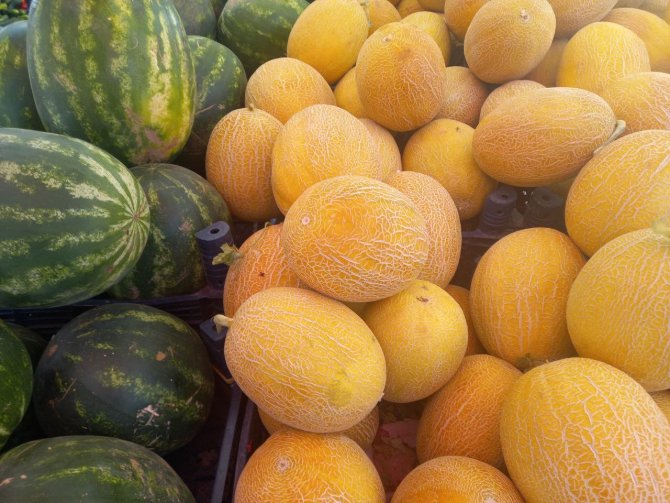 Uzmandan Uyarı: “Yaz Aylarında Ağır Yemekler Öğlen Yenilmeli”