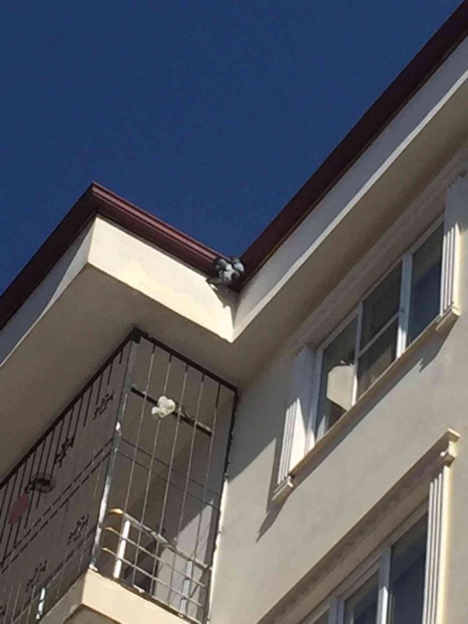 Çatıda Asılı Kalan Güvercin Kurtarıldı
