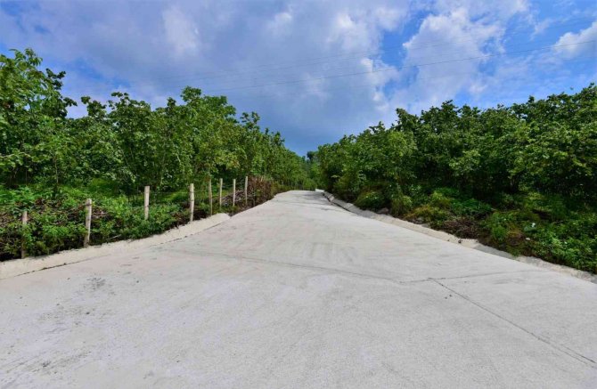 Ordu’da 42 Mahallede Beton Yol Çalışması Tamamlandı