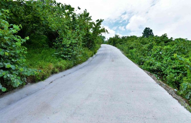 Ordu’da 42 Mahallede Beton Yol Çalışması Tamamlandı