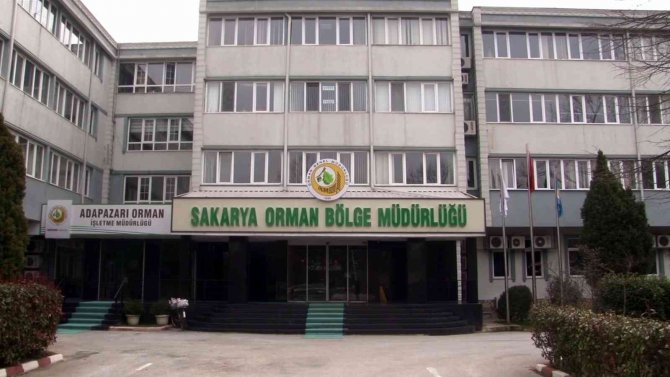 Sıcaklıklar Artıyor, Orman Yangını Riski Büyüyor