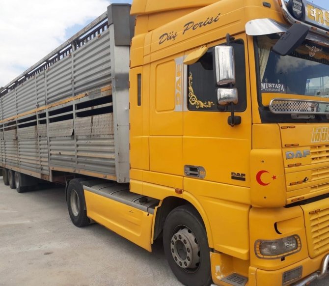 Didim’de Hayvan Hırsızlığına Karışan Şahıslar Afyon’da Yakalandı