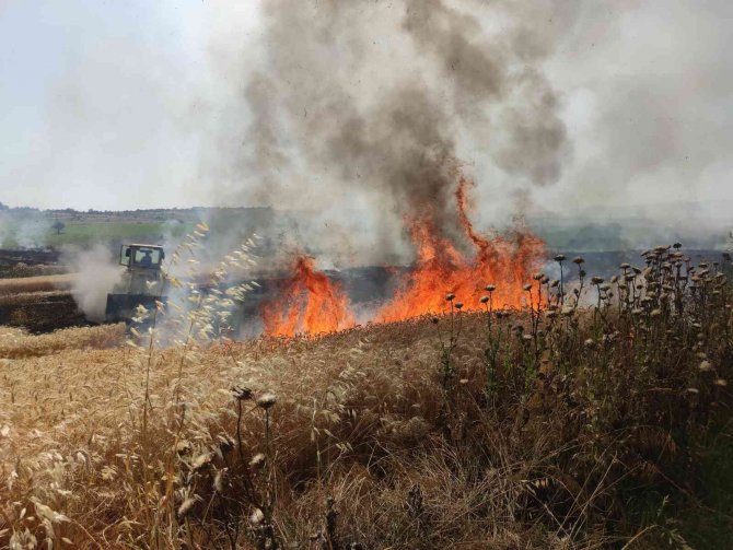 Tekirdağ’da 300 Dönüm Buğday Tarlası Alev Alev Yandı