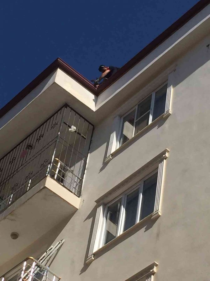 Çatıda Asılı Kalan Güvercin Kurtarıldı