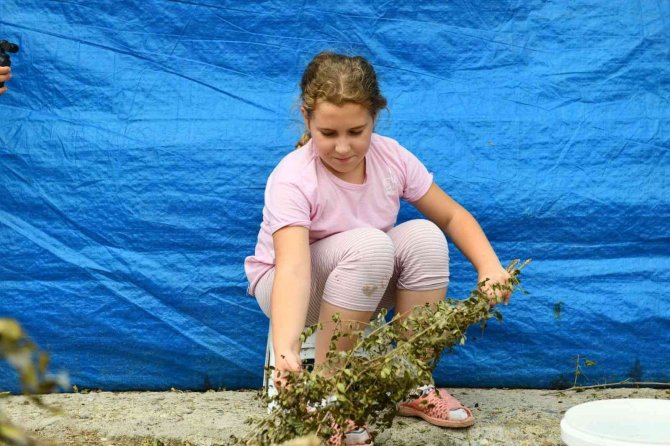 Sıfır Masrafla 40 Günde 6 Bin Lira Gelir