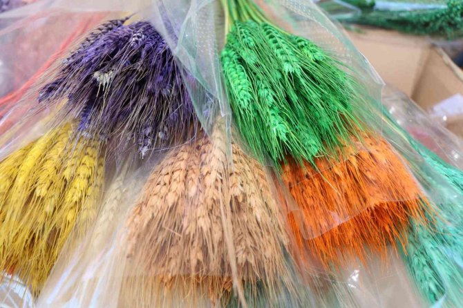 Kuru Çiçekte İthalatı İhracata Çevirdi