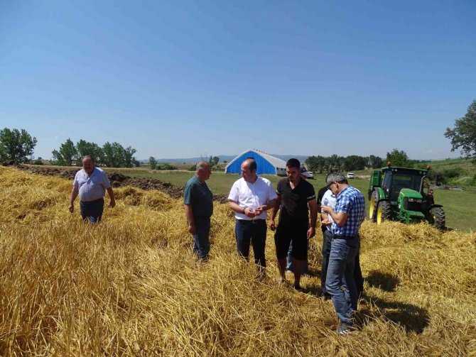 Tekirdağ’da 2 Milyon Dekar Alanda Tahıl Tarımı Yapılıyor