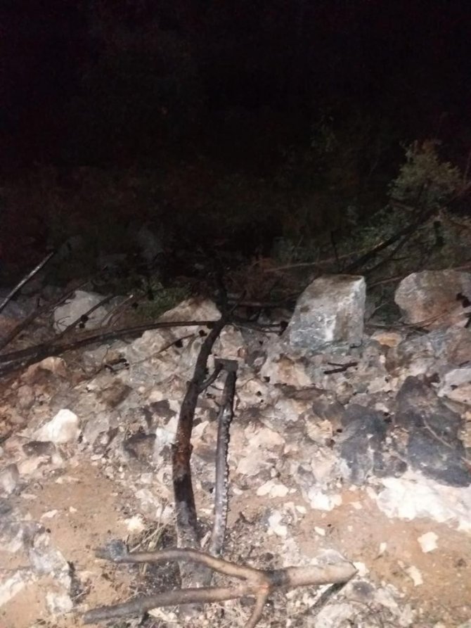 Alanya’da Ormanı Yakan Şüpheli Suçüstü Yakalandı