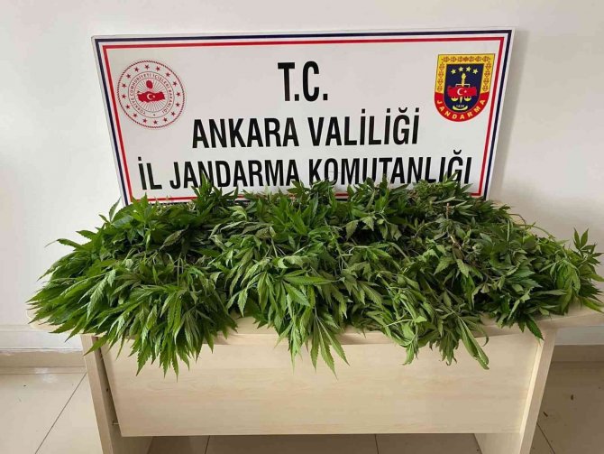 Başkent’te Zehir Tacirlerine Darbe: 6 Gözaltı