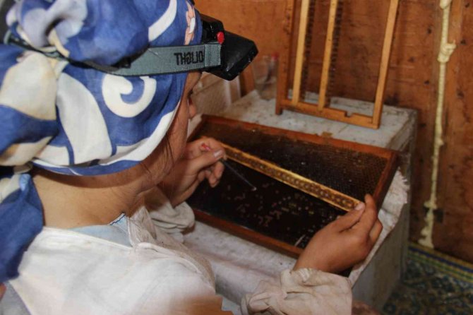 ’Arı Sütü’ Altınla Yarışıyor