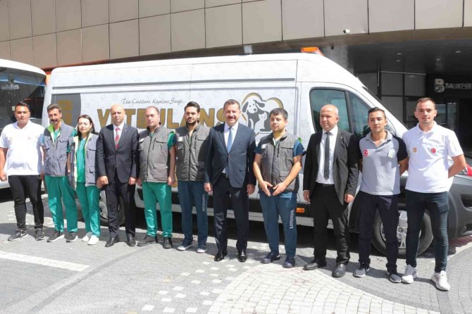 Balıkesir Büyükşehir Belediyesi, Marmaris’teki Yangında Zarar Gören Hayvanları Tedavi Edecek