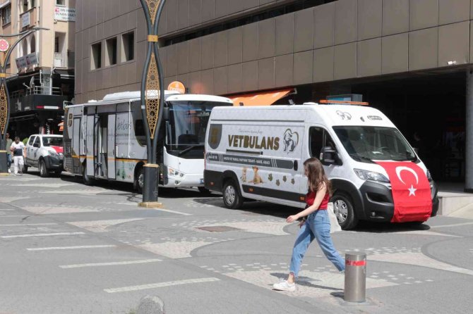 Balıkesir Büyükşehir Belediyesi, Marmaris’teki Yangında Zarar Gören Hayvanları Tedavi Edecek