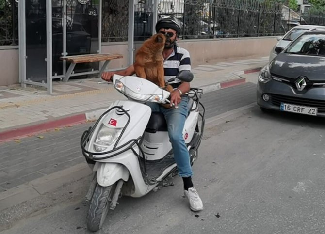 Sahibinin Motosikleti Üzerinde Yolculuk Yapan Köpek İlgi Çekti