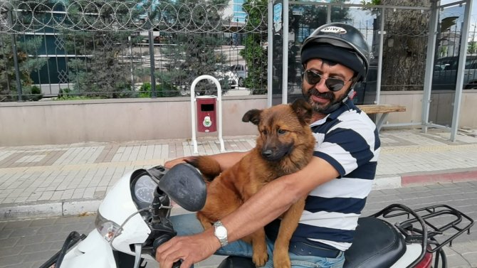 Sahibinin Motosikleti Üzerinde Yolculuk Yapan Köpek İlgi Çekti