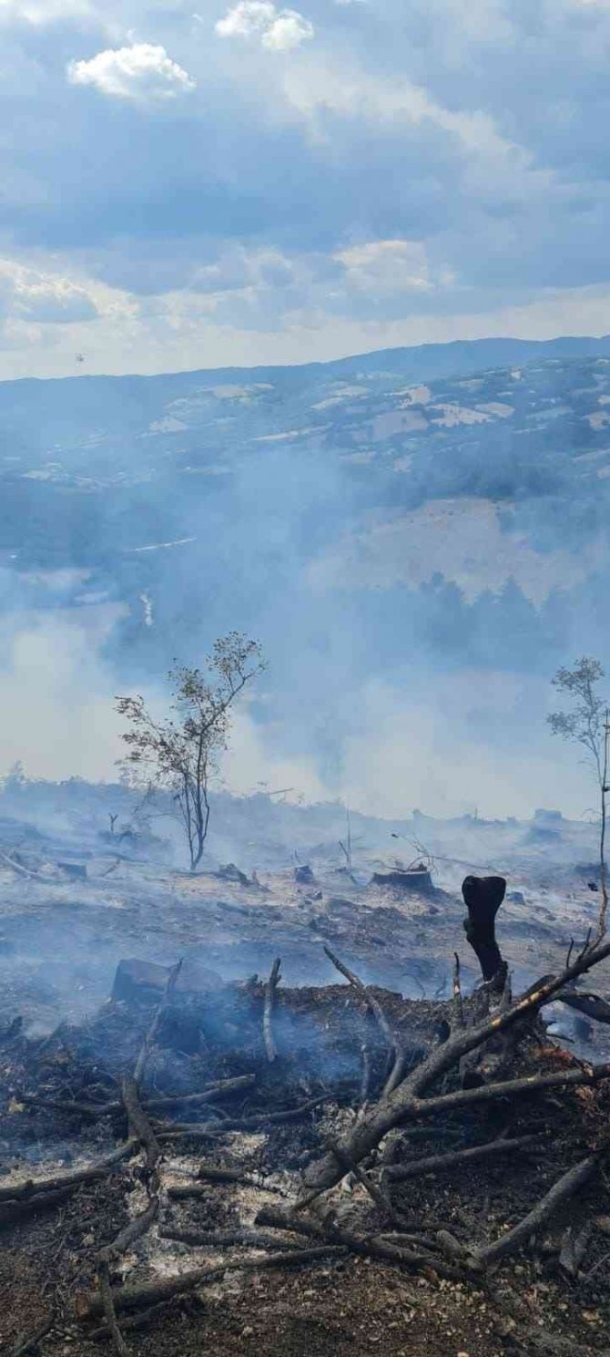Çanakkale’de Orman Yangını