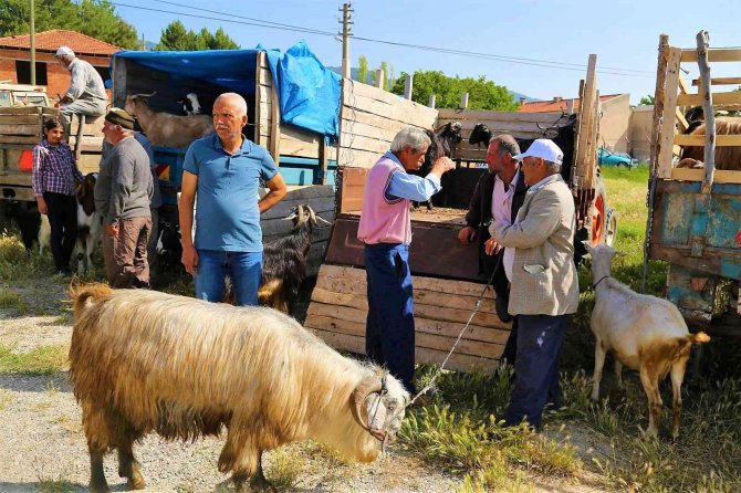 Yaklaşan Kurban Bayramı Besicileri Umutlandırdı