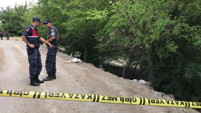 Elazığ’da Tarla Sulama Kavgası: 5 Yaralı