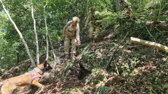 Hatay’da Amanoslar Kırsalında Tuzaklanmış Patlayıcı İmha Edildi