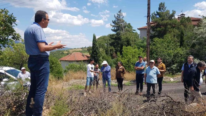 Fıstık Kenti Olma Yolunda İlerleyen Karabük’te Sakız Ağaçları Aşılanmaya Başladı