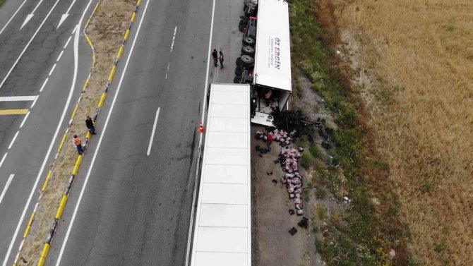 Rusya’ya 48 Bin Dolarlık Kiraz Taşıyan Tır Kaza Yaptı