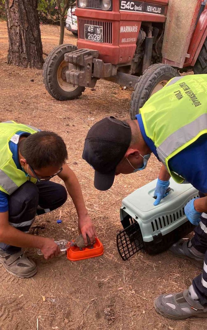 Büyükşehir Personeli Marmaris Yangınında Teyakkuz Halinde