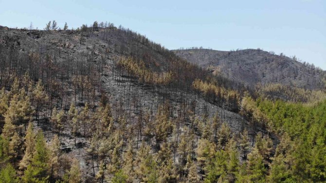 Marmaris’te Söndürülen Alanlar Havadan Görüntülendi